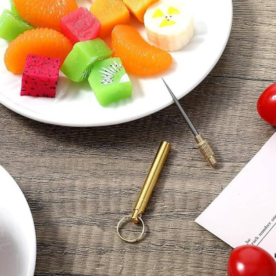 Metal toothpick in case