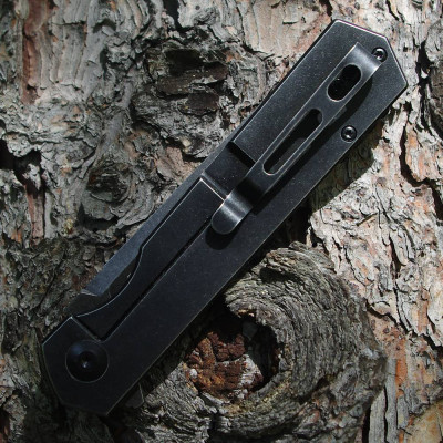 Ganzo Feuervogel FH13-SS