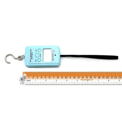 Digital scale - 40kg with loop