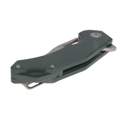 Ganzo Feuervogel FH61