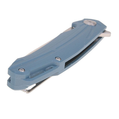 Ganzo Feuervogel FH21