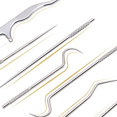 Set of metal toothpicks in case