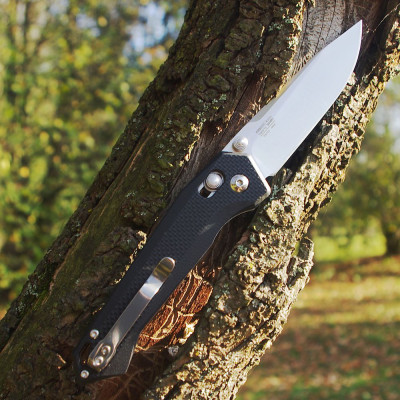 Ganzo Feuervogel FB7651