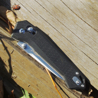 Ganzo Feuervogel FB7651