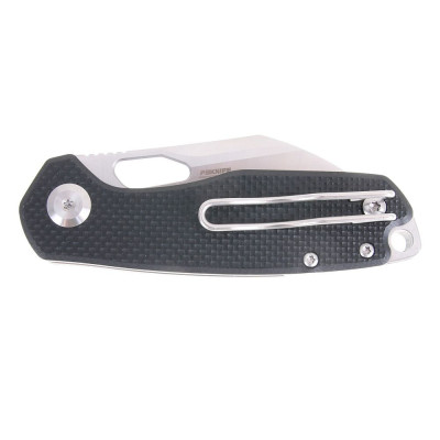 Ganzo Firebird FH924