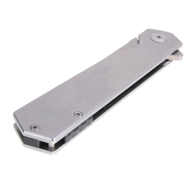 Ganzo Feuervogel FH12-SS