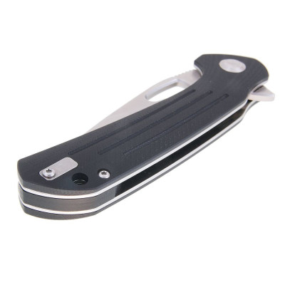 Ganzo FireBird FH921