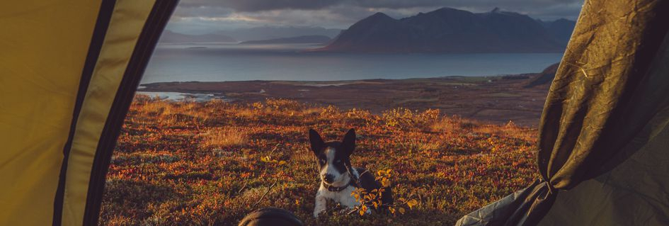 survival, cestovat, cestovatel, příroda, pro cestovatele, outdoor, les, do lesa, křesadlo, léky, ubrousek